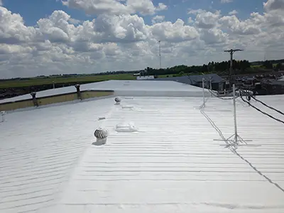 Roof Restoration 2