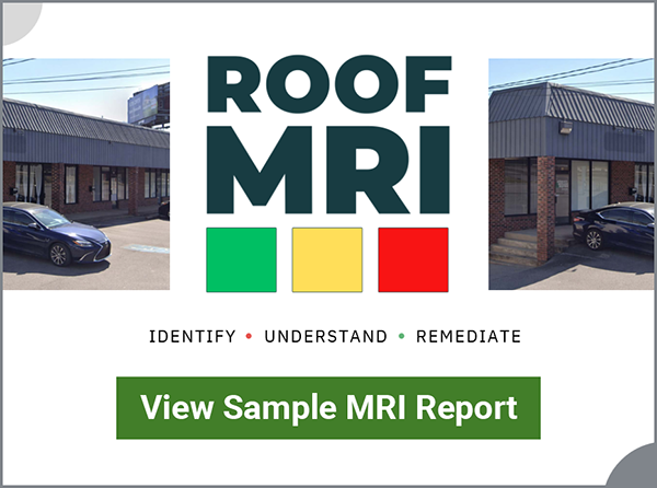 view sample report